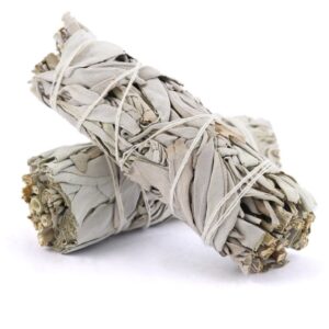 Hvit salvie smudge stick